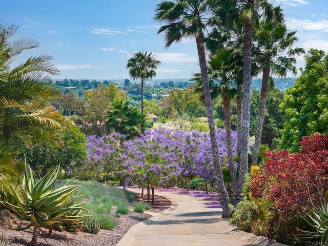 18245 Paseo Victoria, Rancho Santa Fe, CA 92067 - view of surrounding community