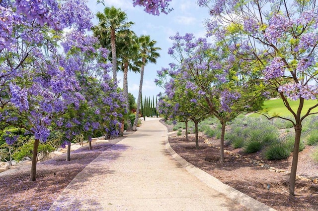 18245 Paseo Victoria, Rancho Santa Fe, CA 92067 - view of property's community