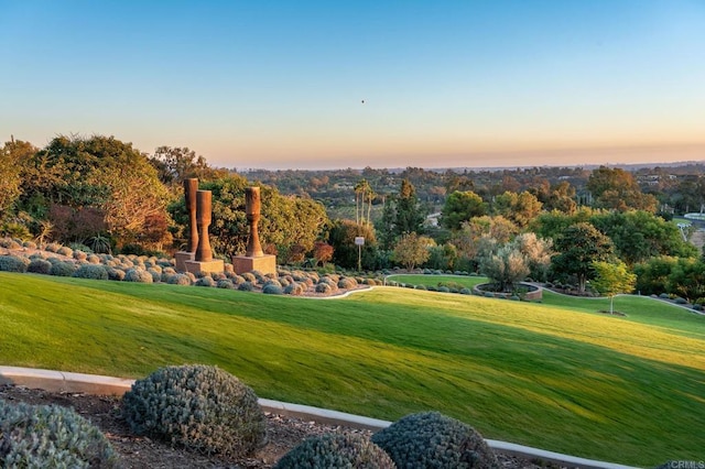 18245 Paseo Victoria, Rancho Santa Fe, CA 92067 - surrounding community featuring a lawn