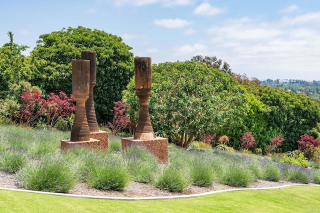 18245 Paseo Victoria, Rancho Santa Fe, CA 92067 - view of yard