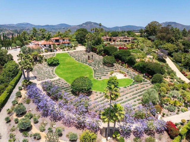 18245 Paseo Victoria, Rancho Santa Fe, CA 92067 - bird's eye view of mountains