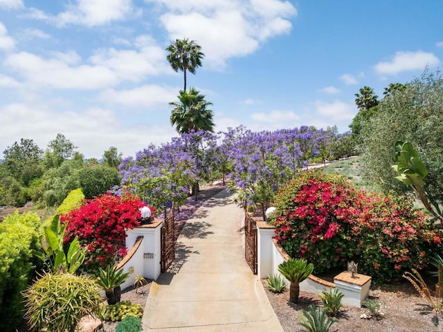 18245 Paseo Victoria, Rancho Santa Fe, CA 92067 - view of property's community