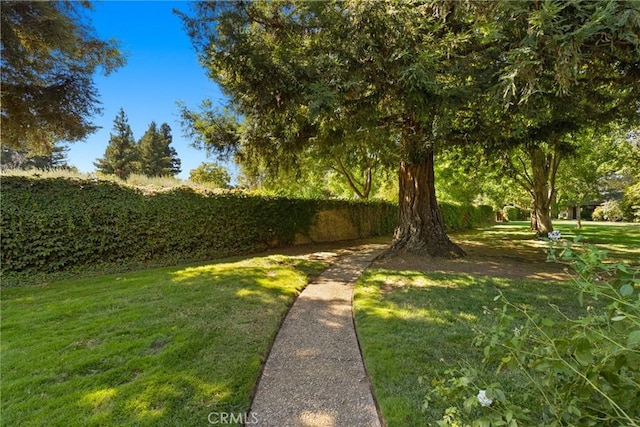 1 Northwood Commons Pl, Chico, CA 95973 - photo 28