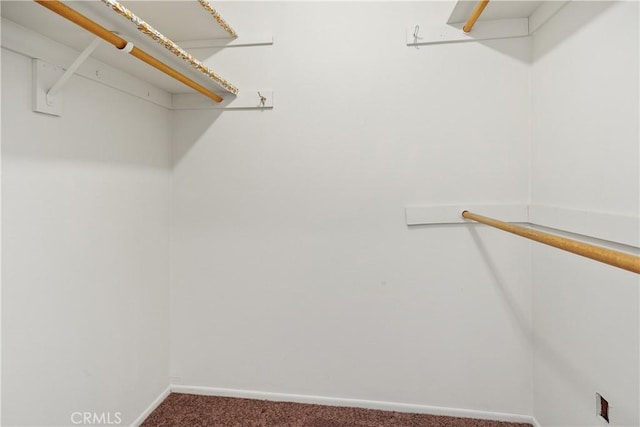walk in closet with carpet