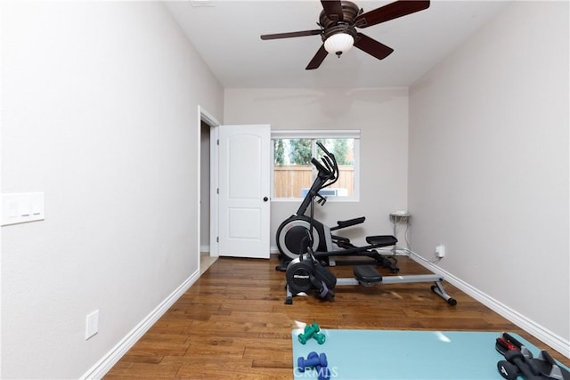 exercise room featuring ceiling fan and wood-type flooring