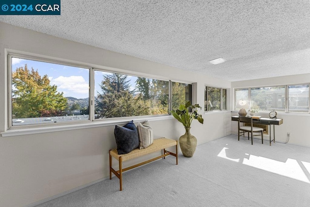 sunroom with a wealth of natural light