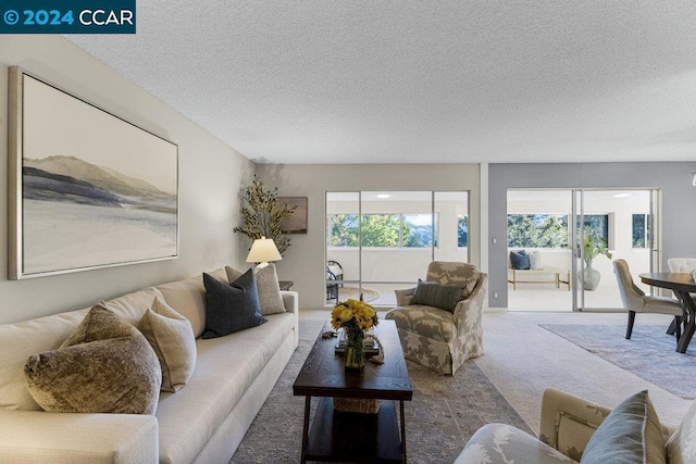 carpeted living room with a textured ceiling