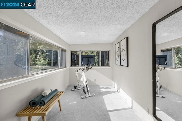 exercise room with carpet and a textured ceiling