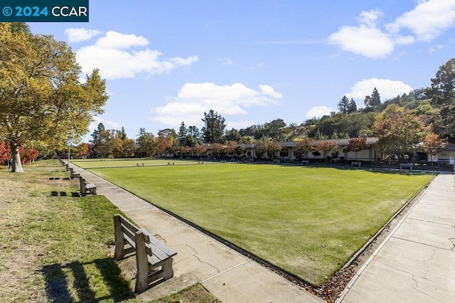 view of community with a yard