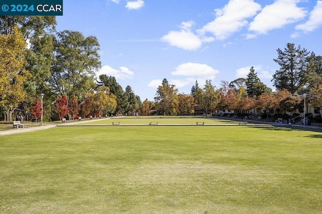 view of property's community with a yard