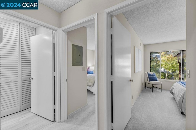 interior space with light carpet, a textured ceiling, and electric panel