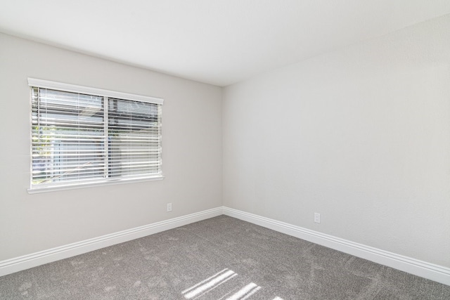 unfurnished room featuring carpet flooring