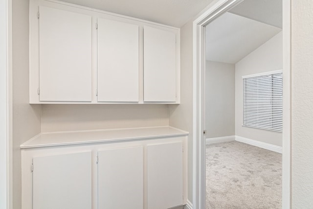 laundry area with light carpet