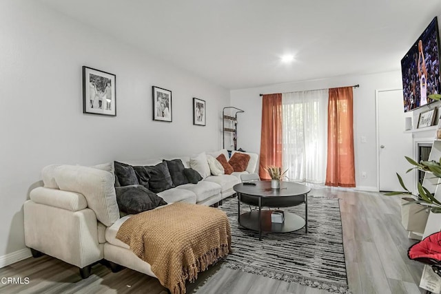 living room featuring hardwood / wood-style flooring