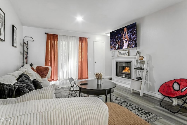 living room with wood-type flooring