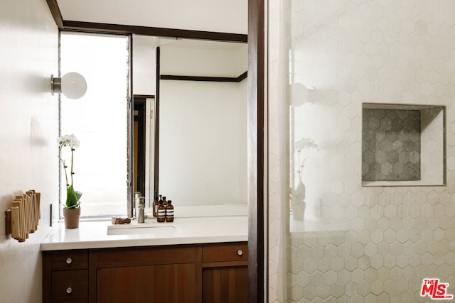 bathroom featuring plenty of natural light and vanity