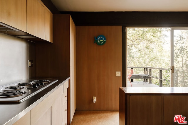 kitchen with cooktop and a healthy amount of sunlight