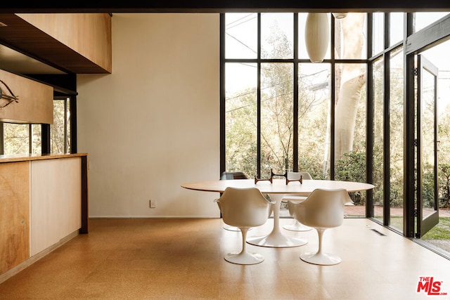 dining area with plenty of natural light