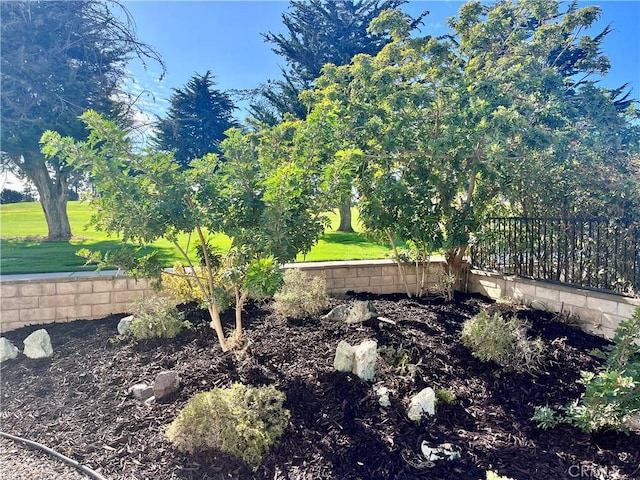 view of yard with a patio area