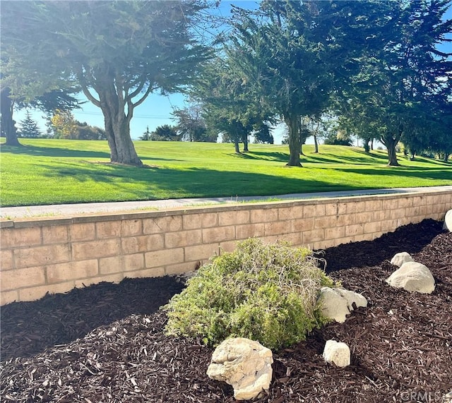 exterior space featuring a yard