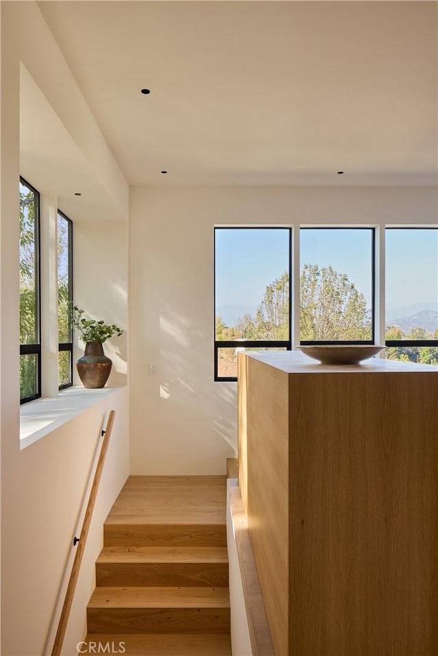 stairs featuring hardwood / wood-style floors