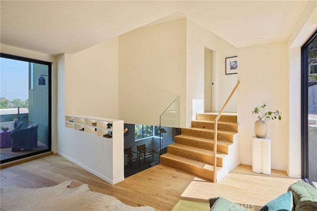 staircase with hardwood / wood-style flooring