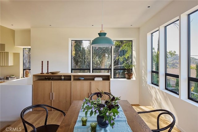 interior space featuring a healthy amount of sunlight and light hardwood / wood-style floors