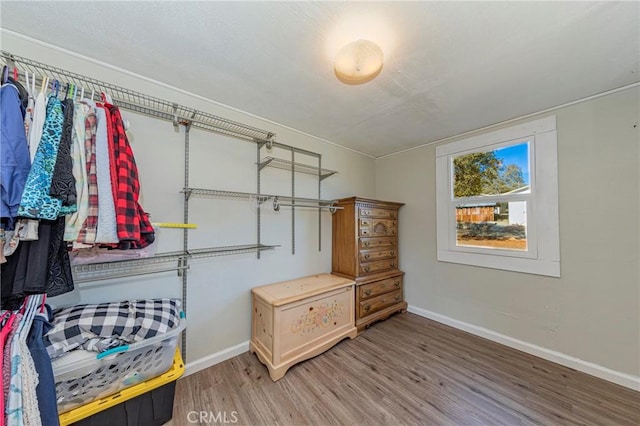 walk in closet featuring hardwood / wood-style floors