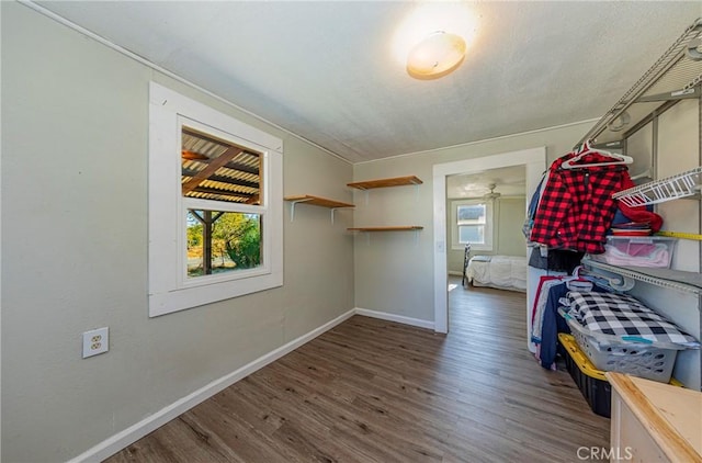 walk in closet with dark hardwood / wood-style flooring