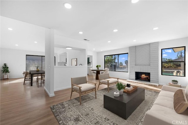 living room featuring a fireplace and light wood-type flooring