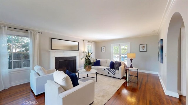 living room featuring ornamental molding and wood-type flooring