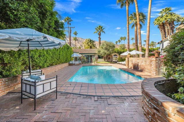 view of swimming pool featuring a patio area