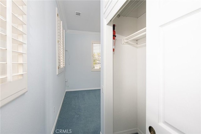 walk in closet with dark colored carpet