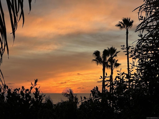 nature at dusk featuring a water view