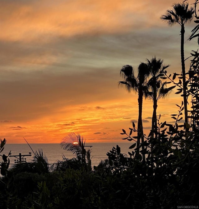 nature at dusk featuring a water view