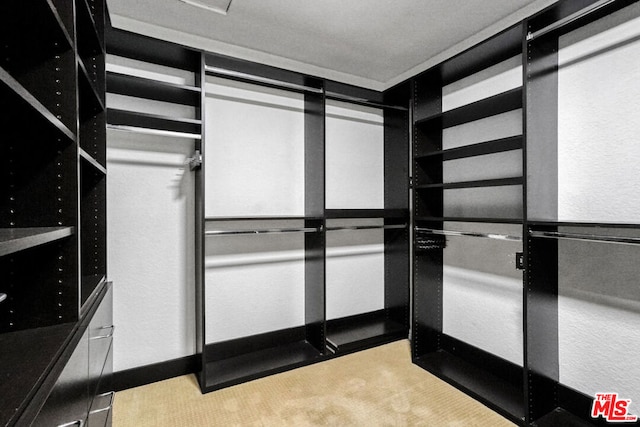 walk in closet featuring light colored carpet and a mail area