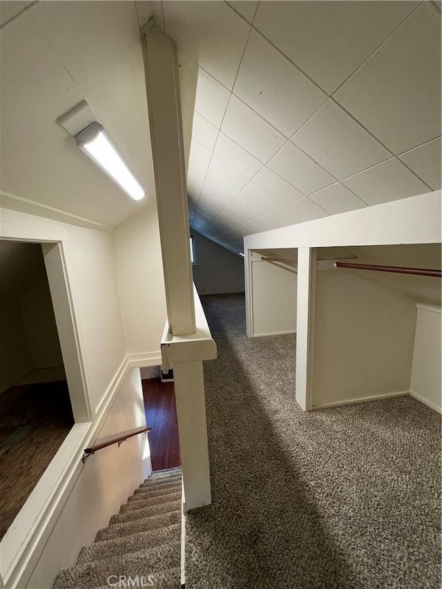 bonus room with dark carpet