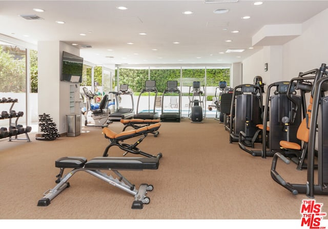 workout area featuring carpet flooring, floor to ceiling windows, and a wealth of natural light