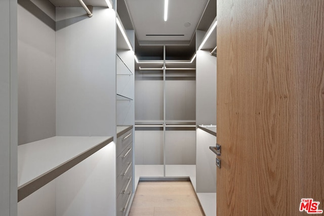 walk in closet with light wood-type flooring