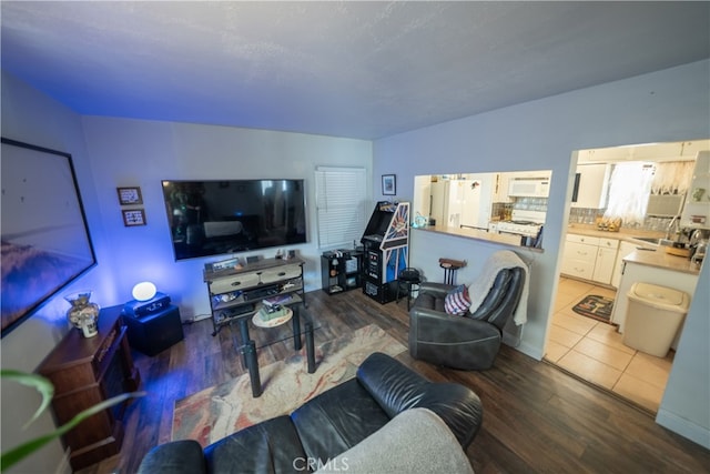 living room featuring sink and dark wood-type flooring