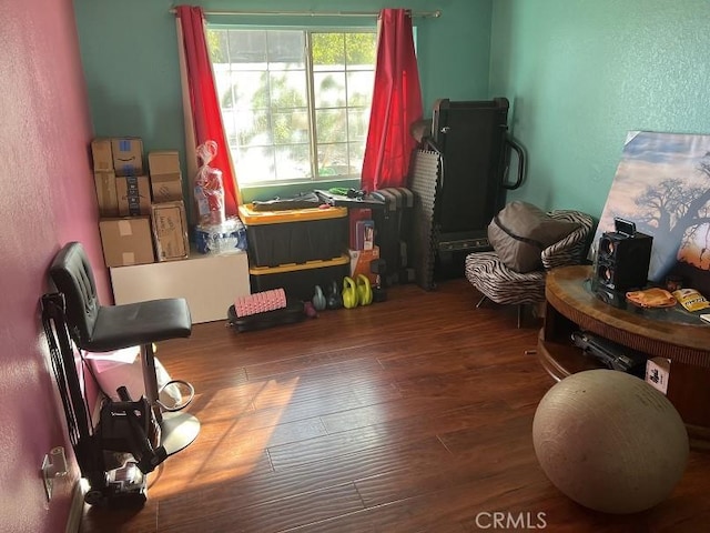 playroom featuring dark hardwood / wood-style flooring