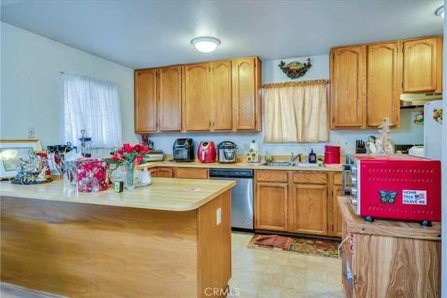 kitchen with stainless steel dishwasher and sink