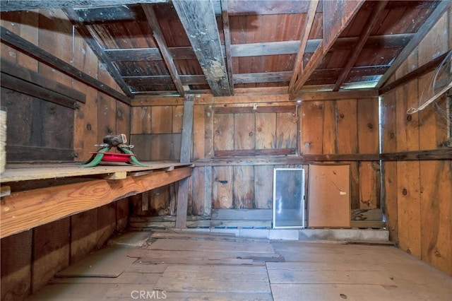 basement with wood walls