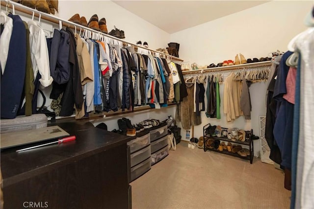 spacious closet featuring light carpet