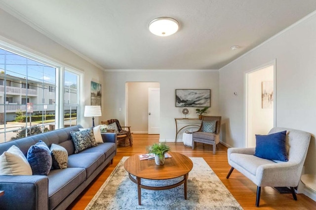 living room featuring wood-type flooring and crown molding