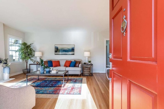 living room with light wood-type flooring