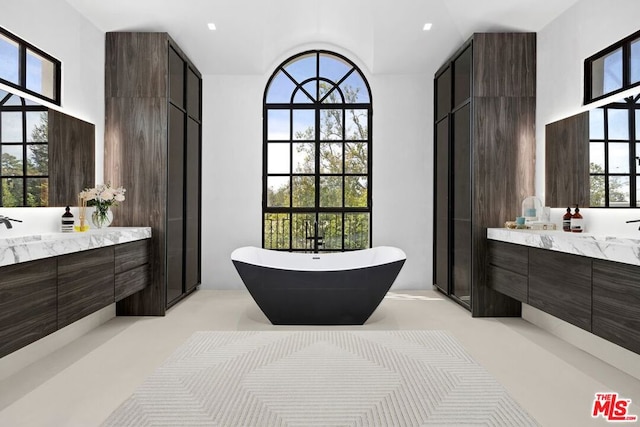 bathroom with a tub to relax in, plenty of natural light, and vanity