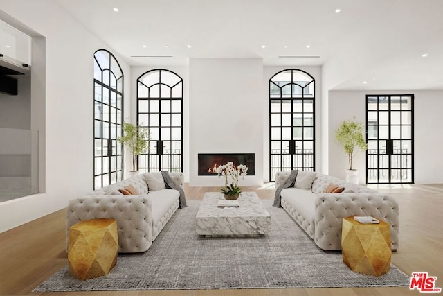 living room featuring light hardwood / wood-style flooring and a healthy amount of sunlight