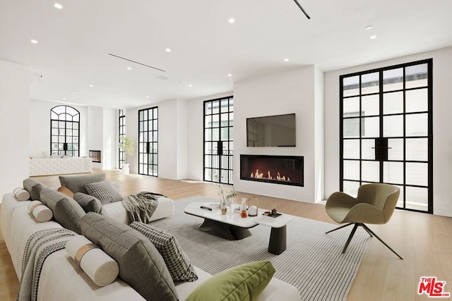 living room with light hardwood / wood-style floors and a healthy amount of sunlight