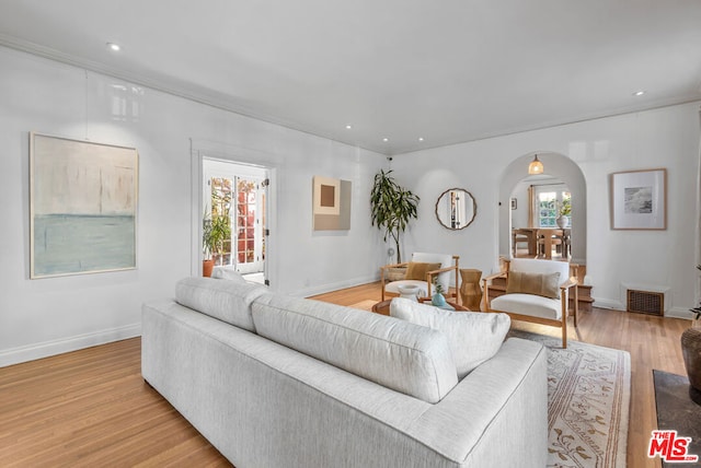 living room featuring a wealth of natural light and light hardwood / wood-style flooring